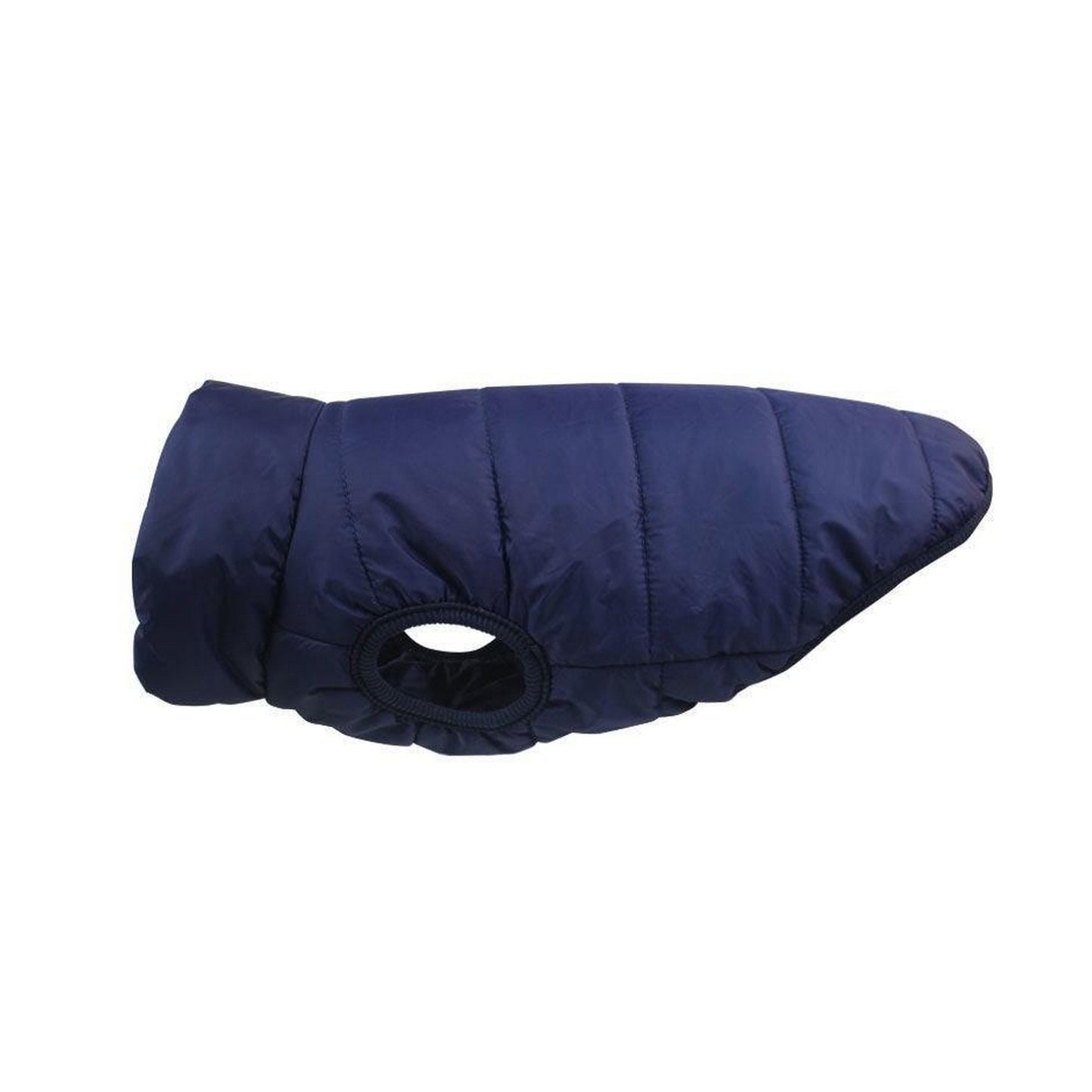 Veste pour chien marin