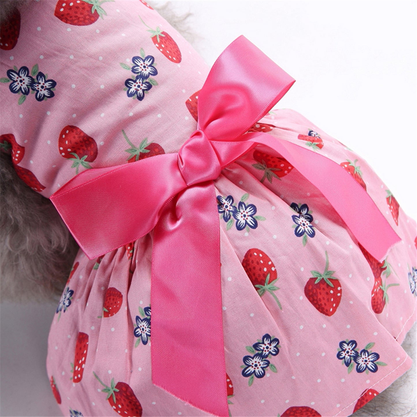 Robe fraises