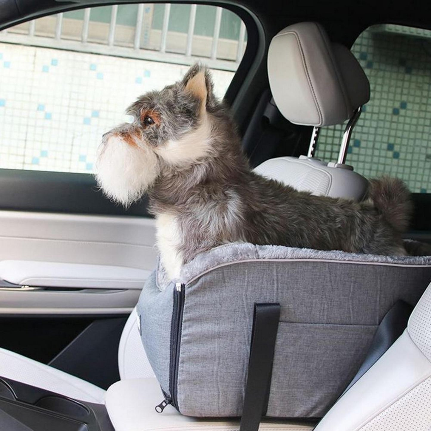 Boîte voiture chien gris