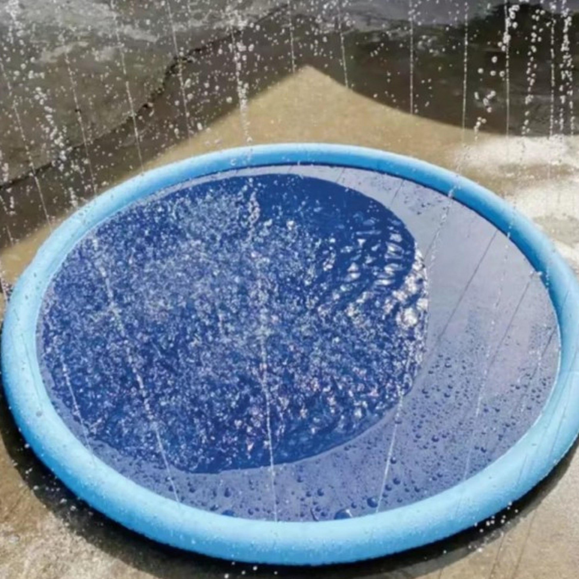 Douche pour chien avec jets