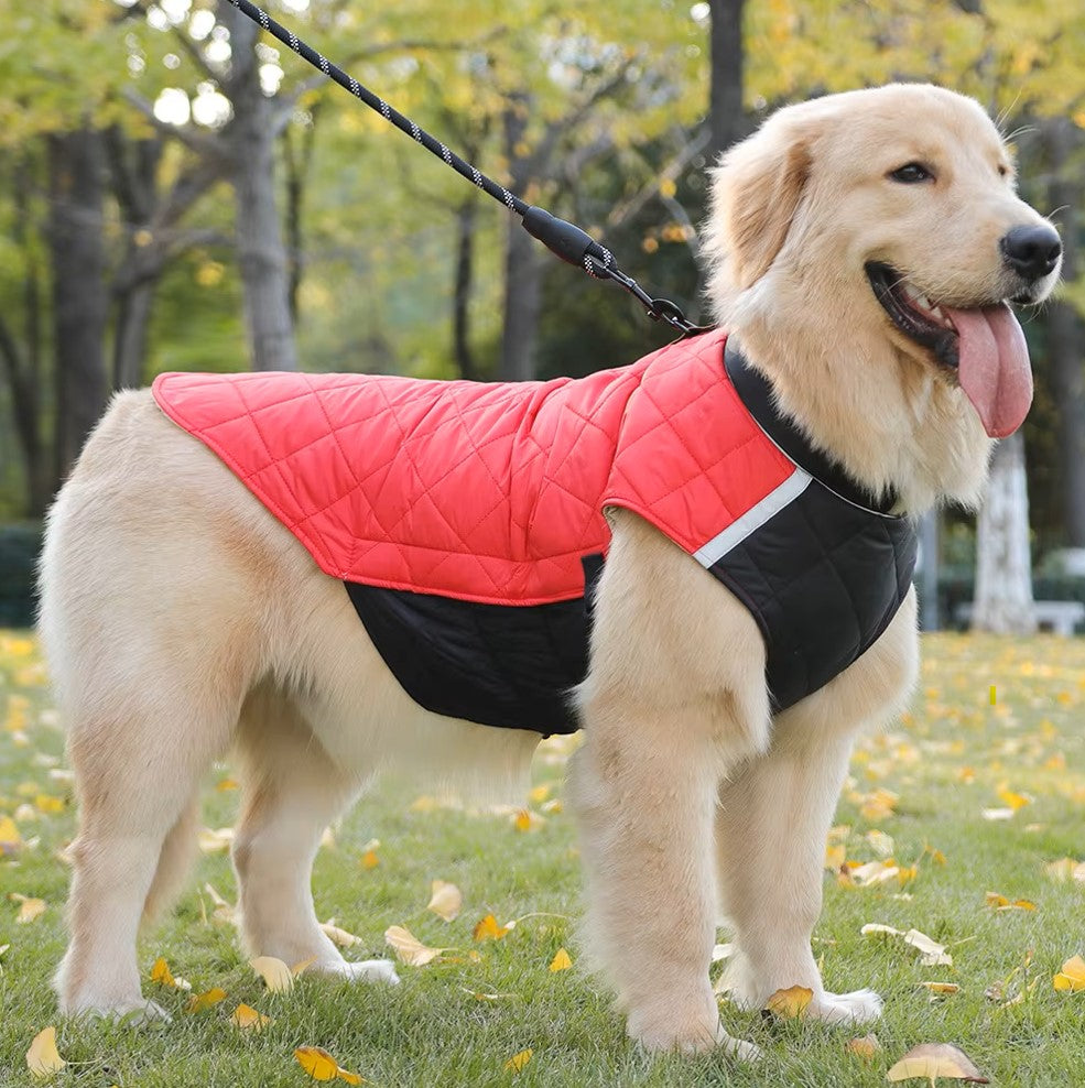 Manteau grand chien XXL