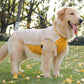 Manteau XXL pour gros chien