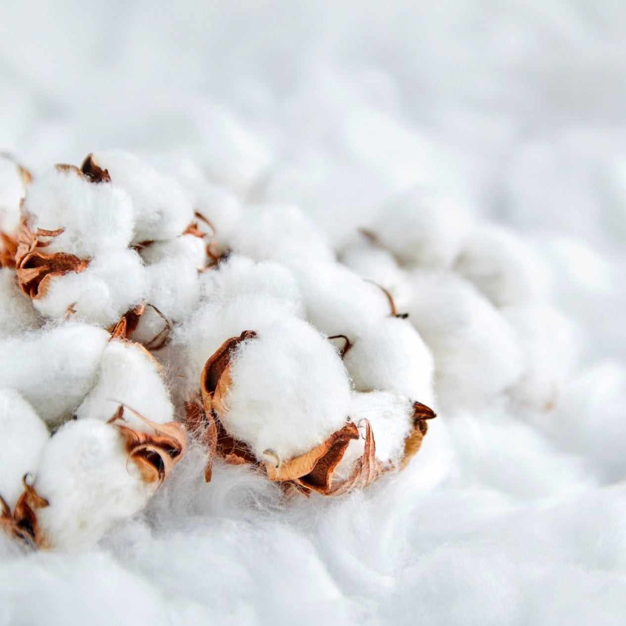 Panier en coton pour chien