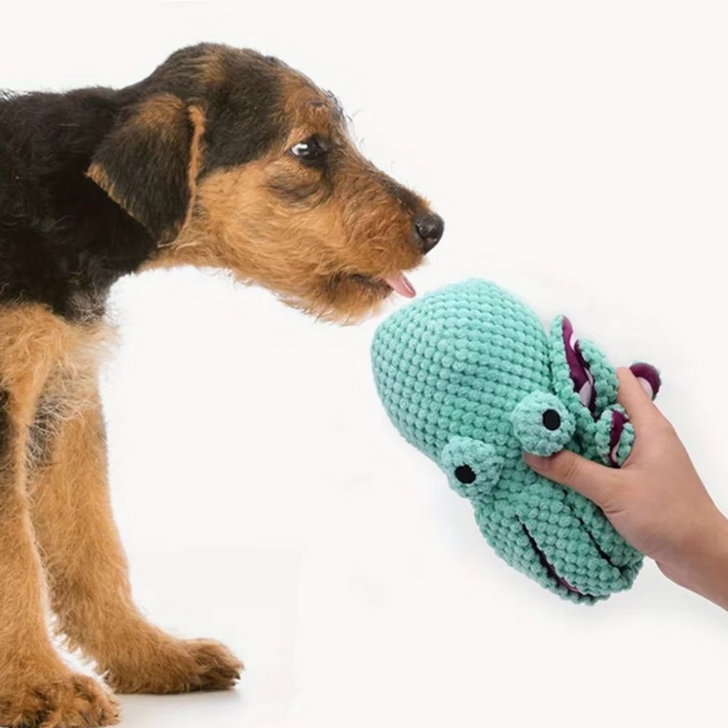 jouet chien pieuvre