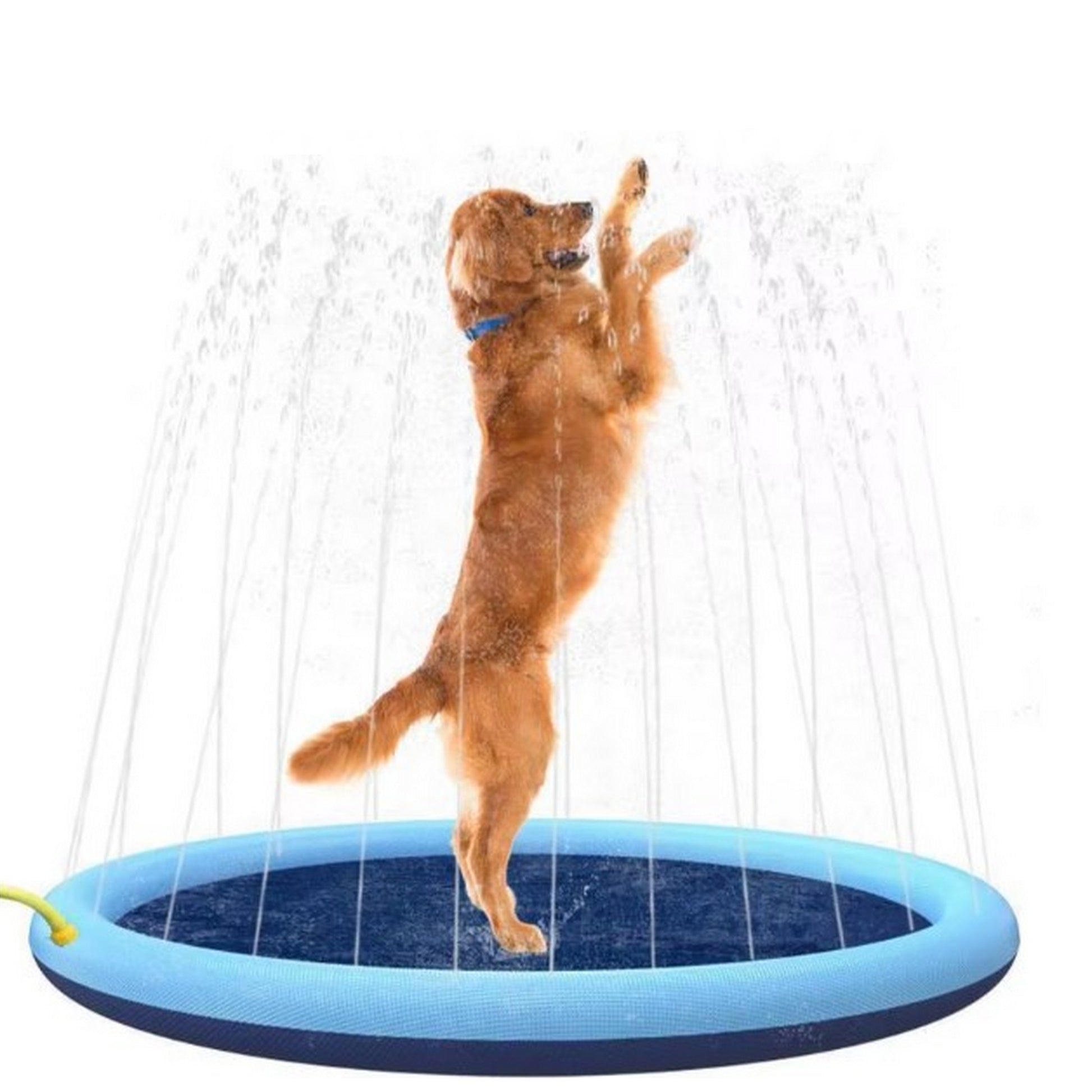 Piscine avec jets arroseurs pour chien