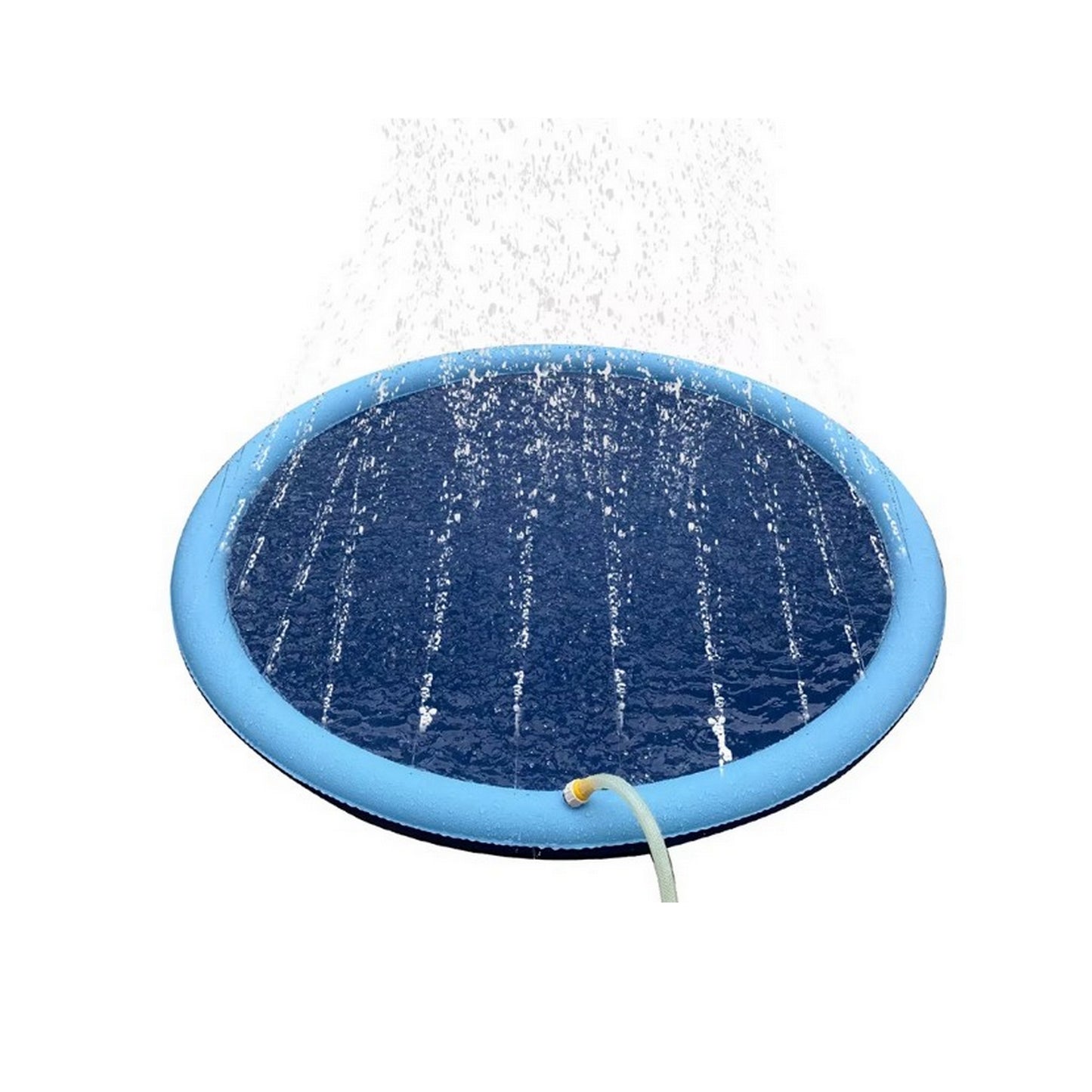 Piscine pour chien
