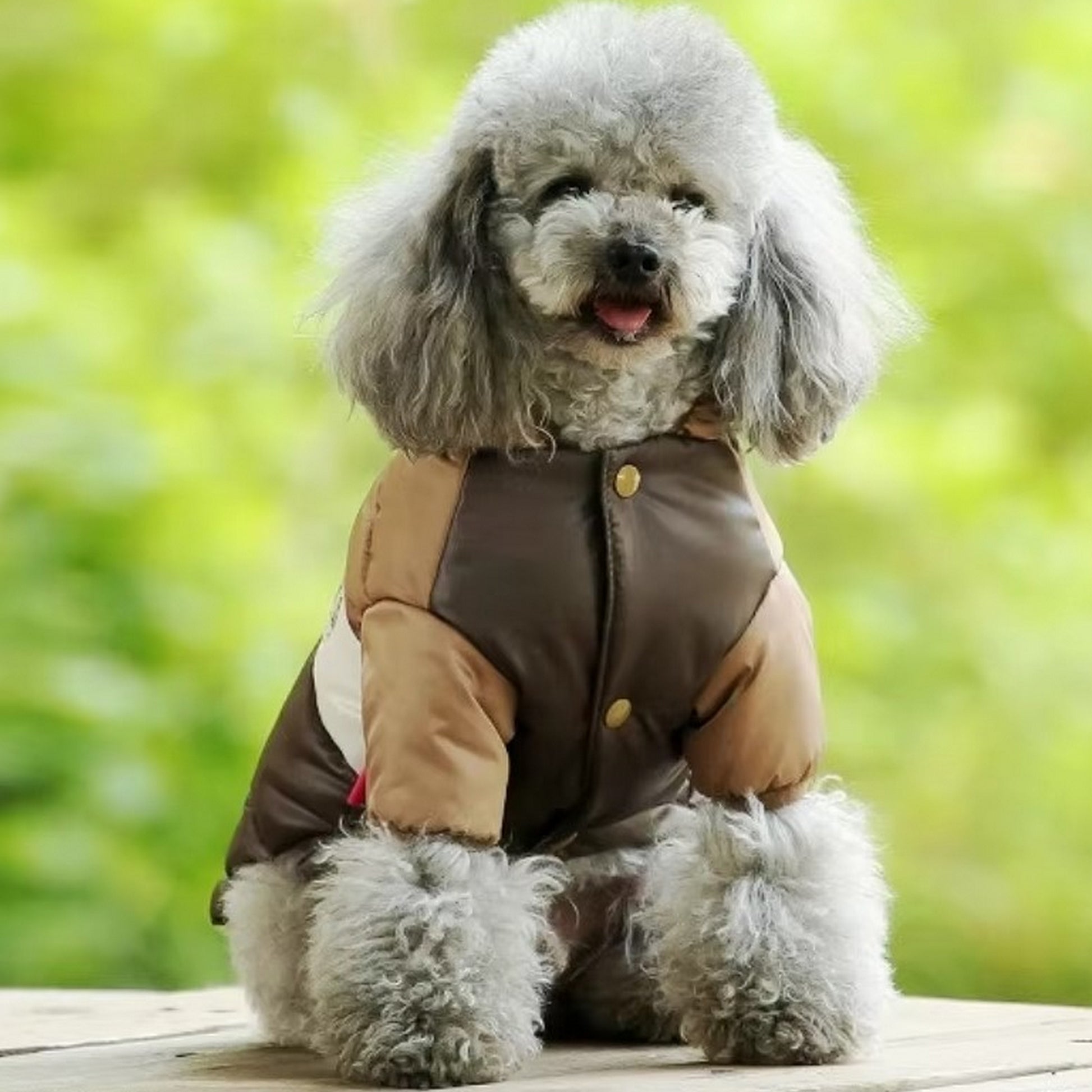 manteau pour chien marron