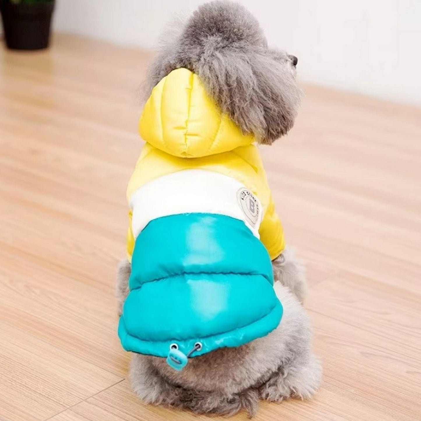 Veste chaude chien