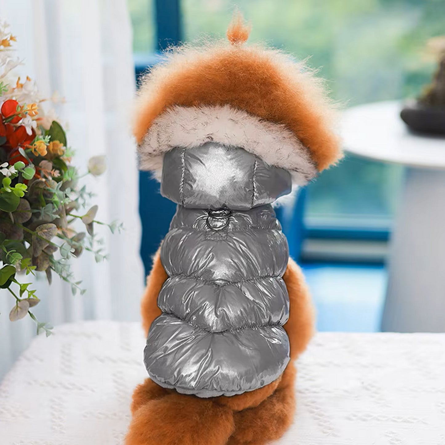 Manteau pour chien avec capuche