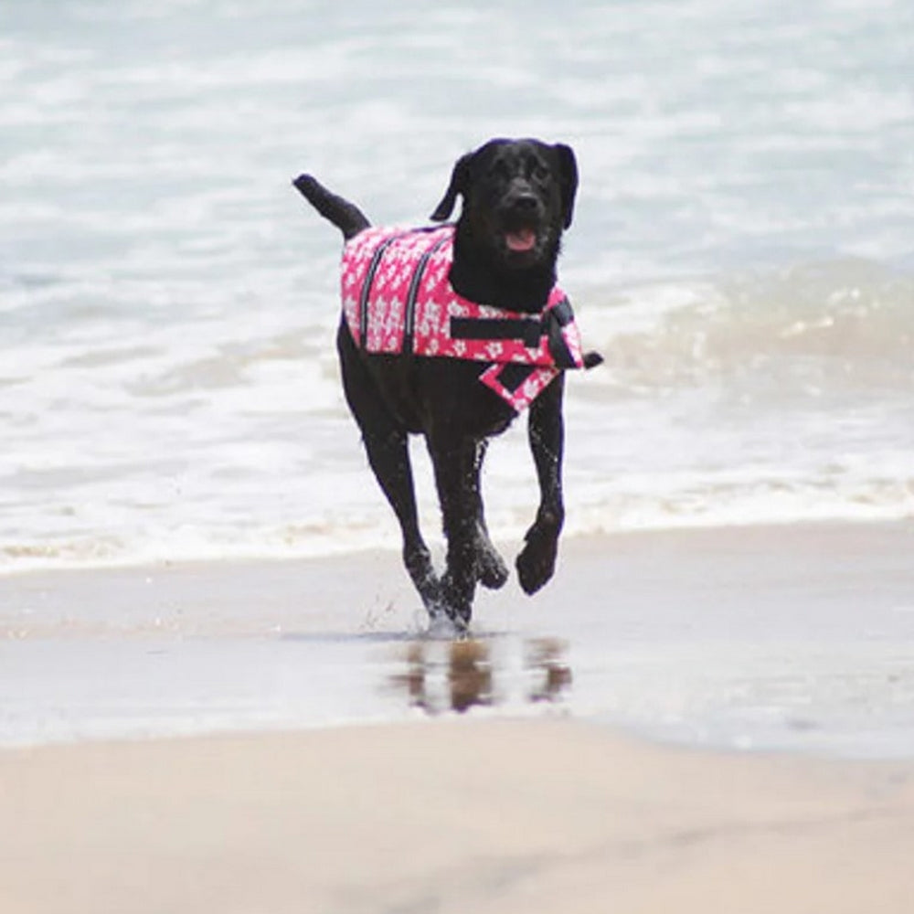 Chien plage gilet