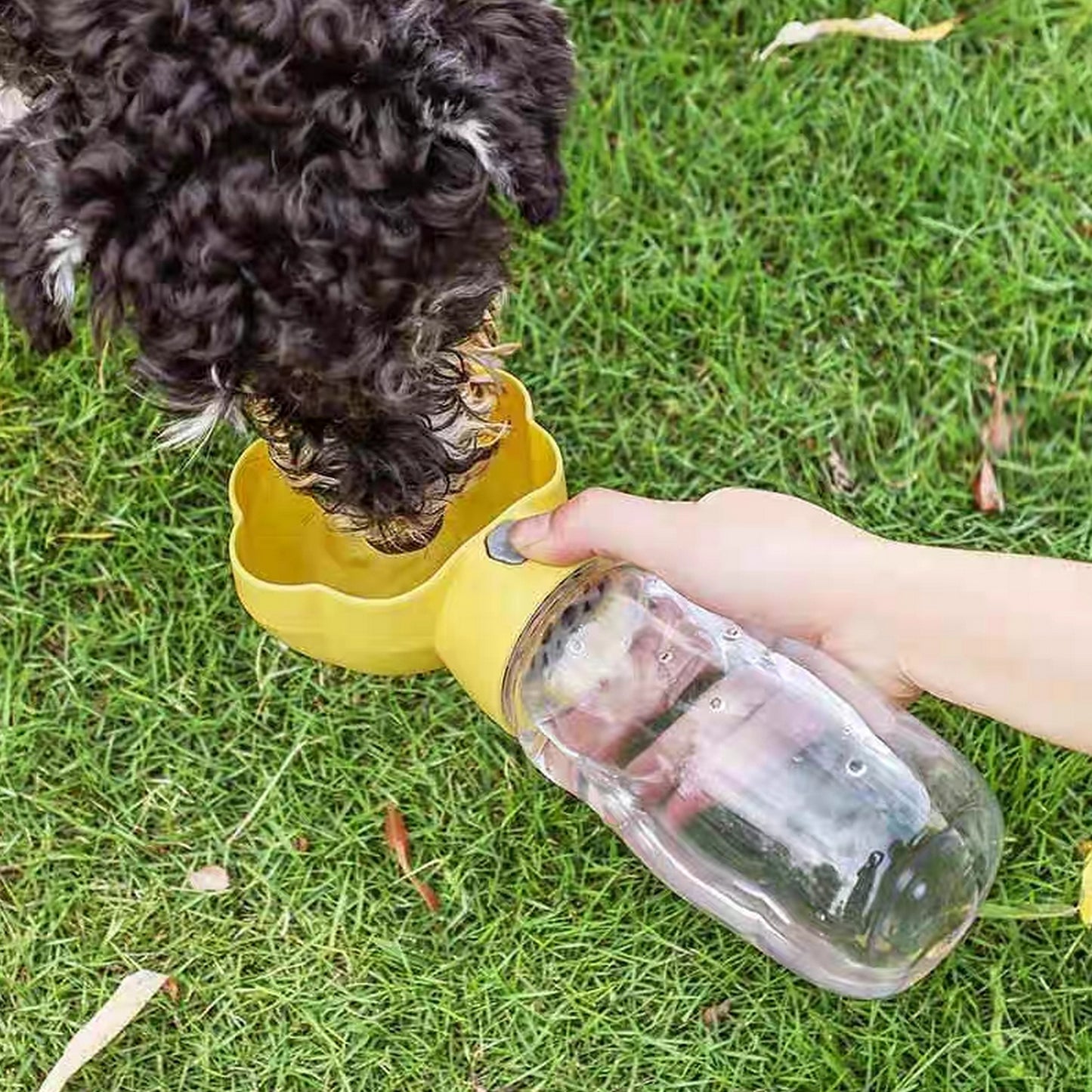 gourde pour chien jaune