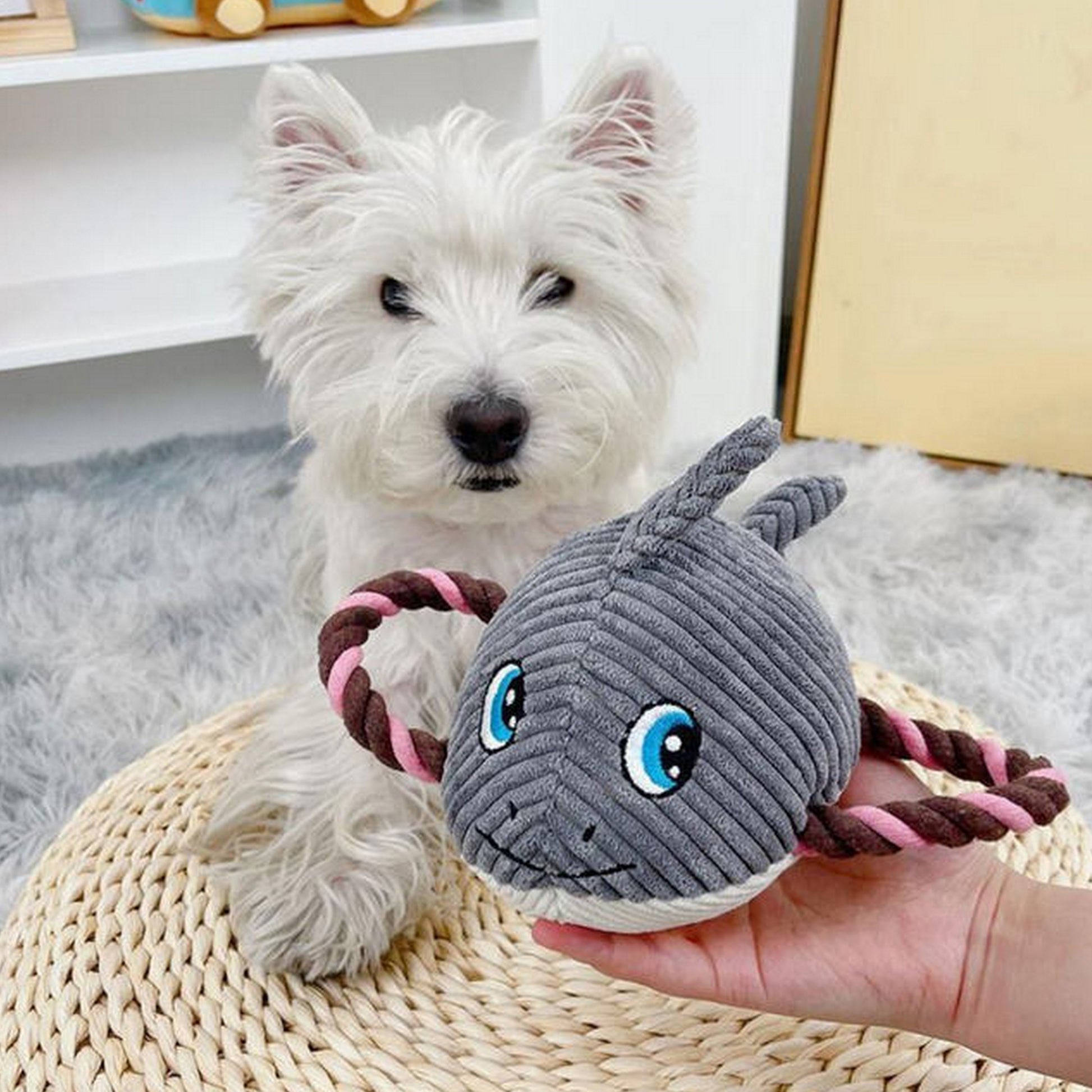 peluche mignonne requin chien