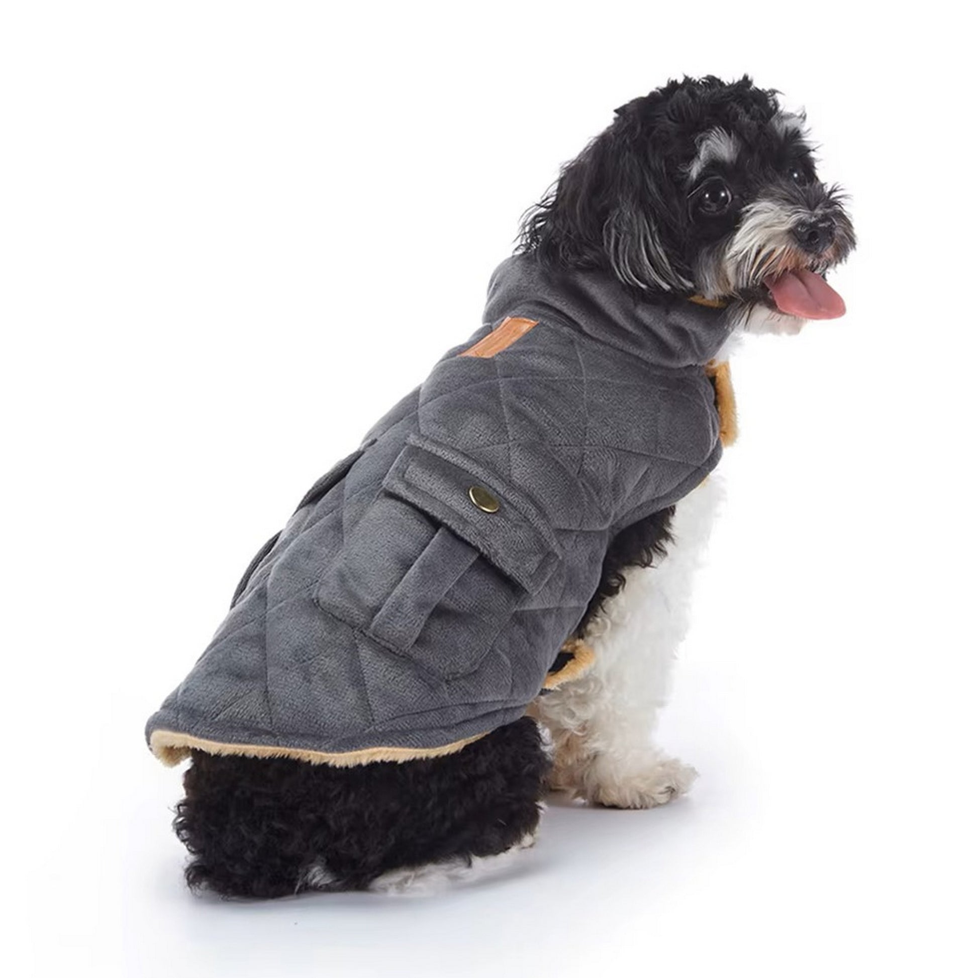 manteau pour chien gris