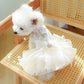 robe mariage chien blanc