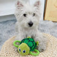 doudou tortue pour chien