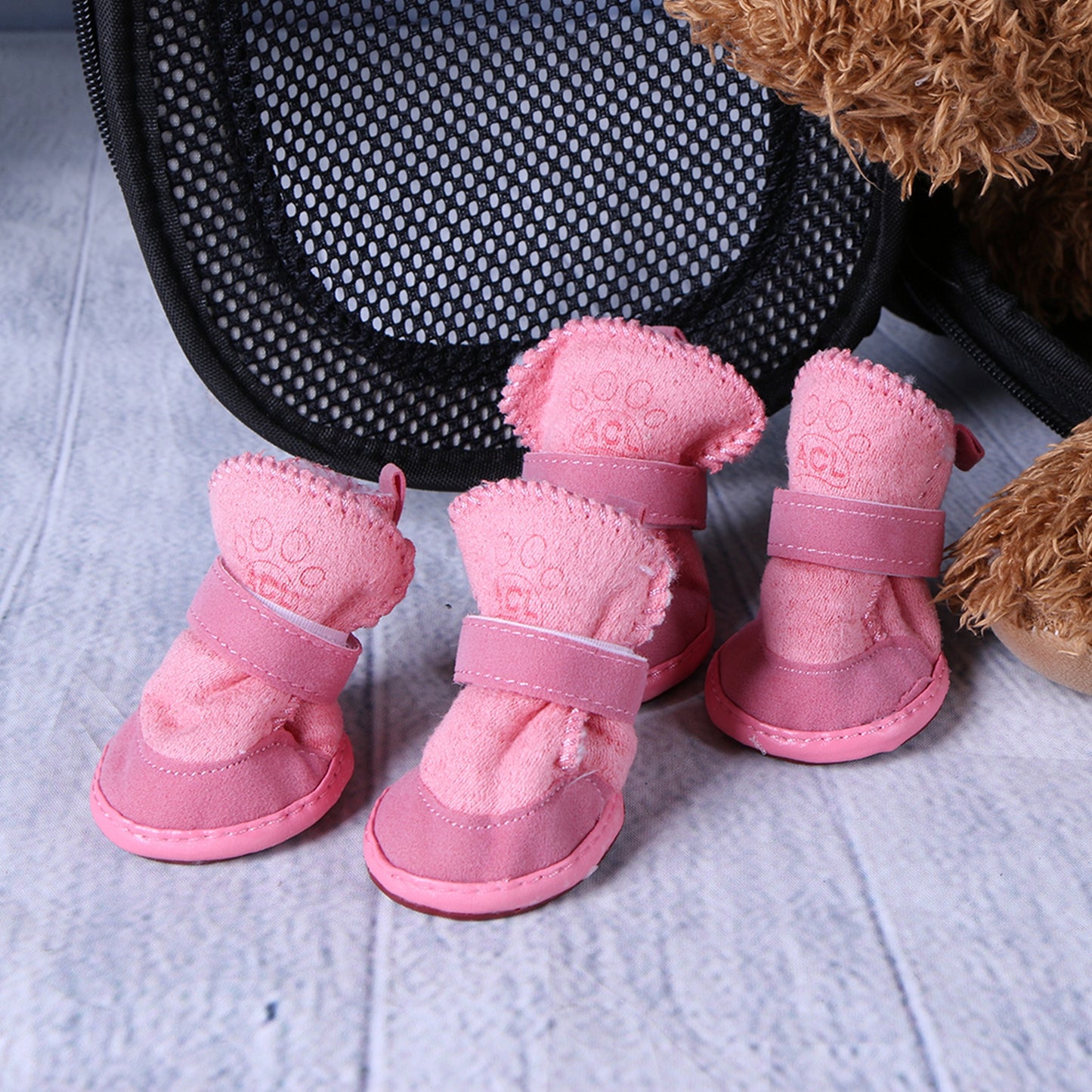 Bottes chien hiver froid