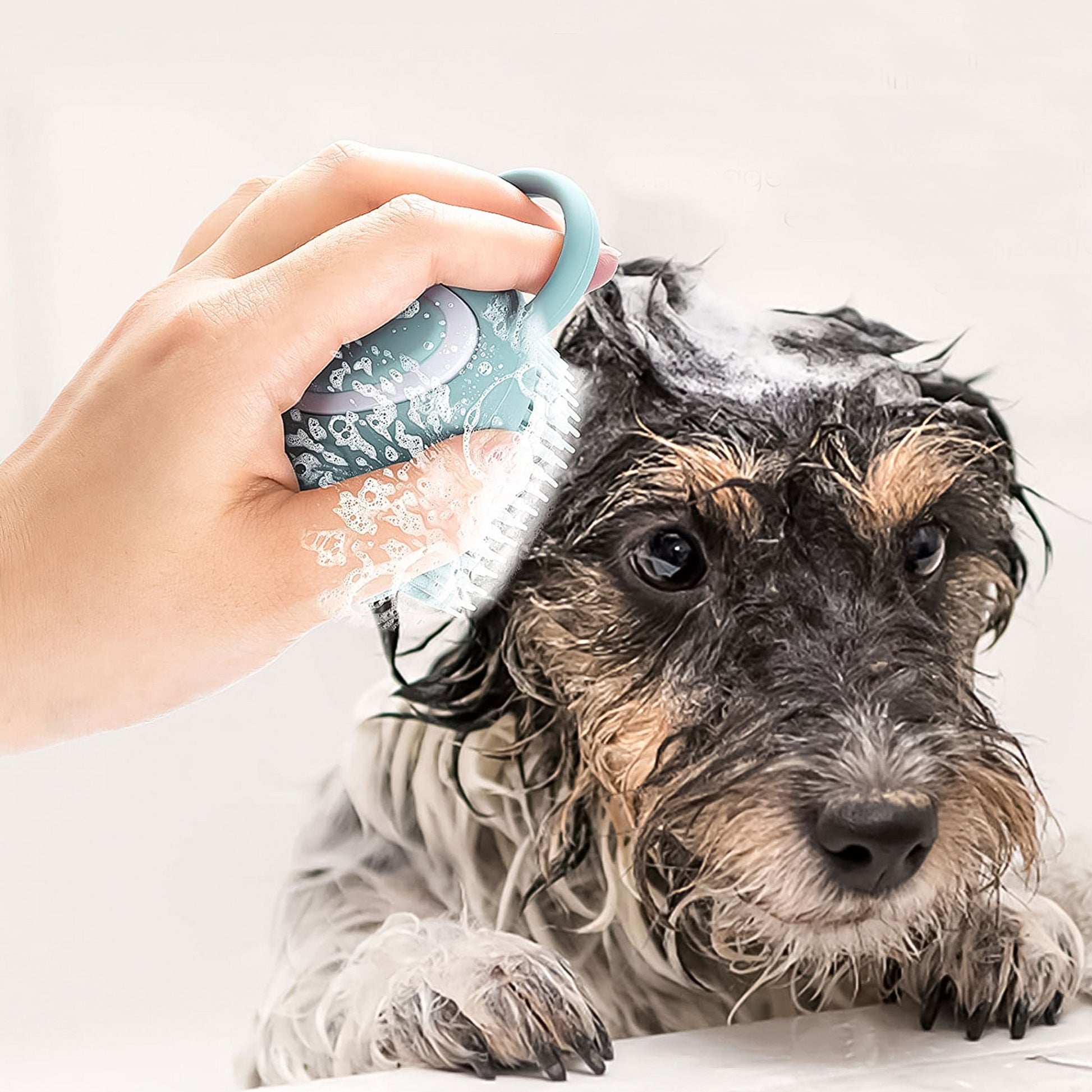 Brosse bain chien mousse