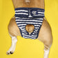 Culotte de règles pour chien