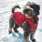 Doudoune d'hiver pour chien