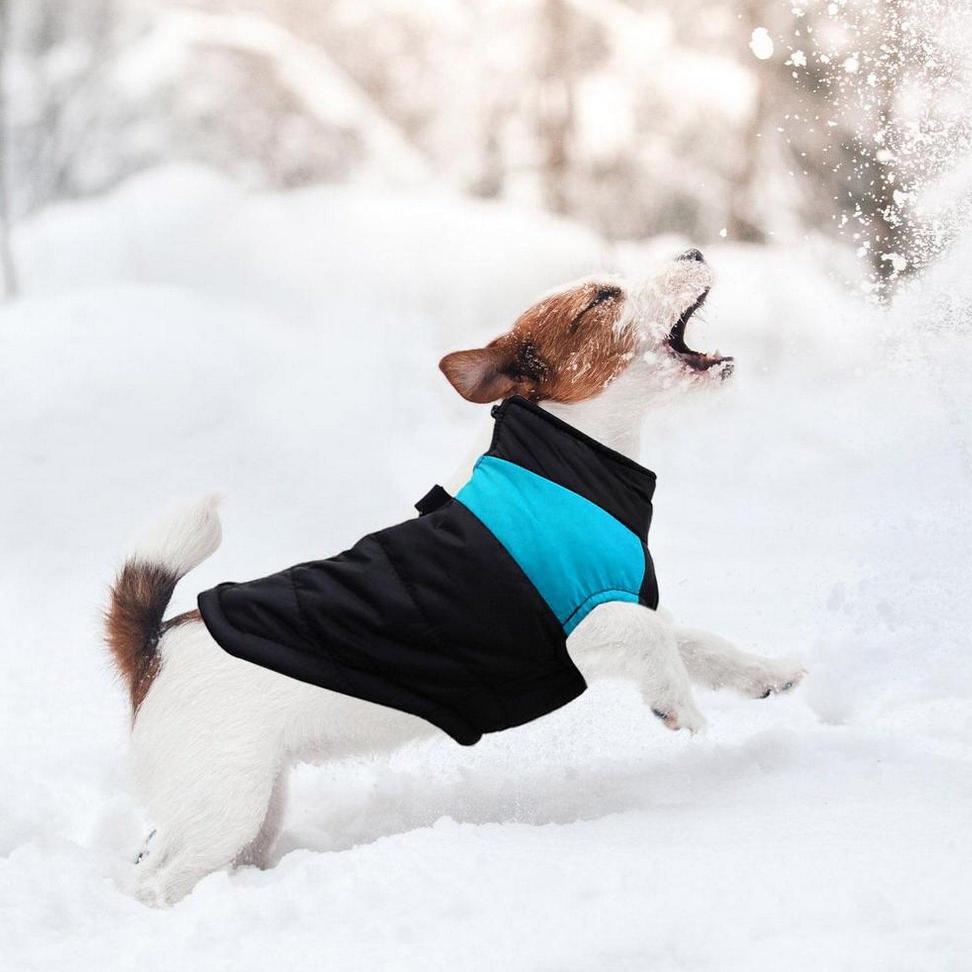 Manteau d'hiver neige pour chien