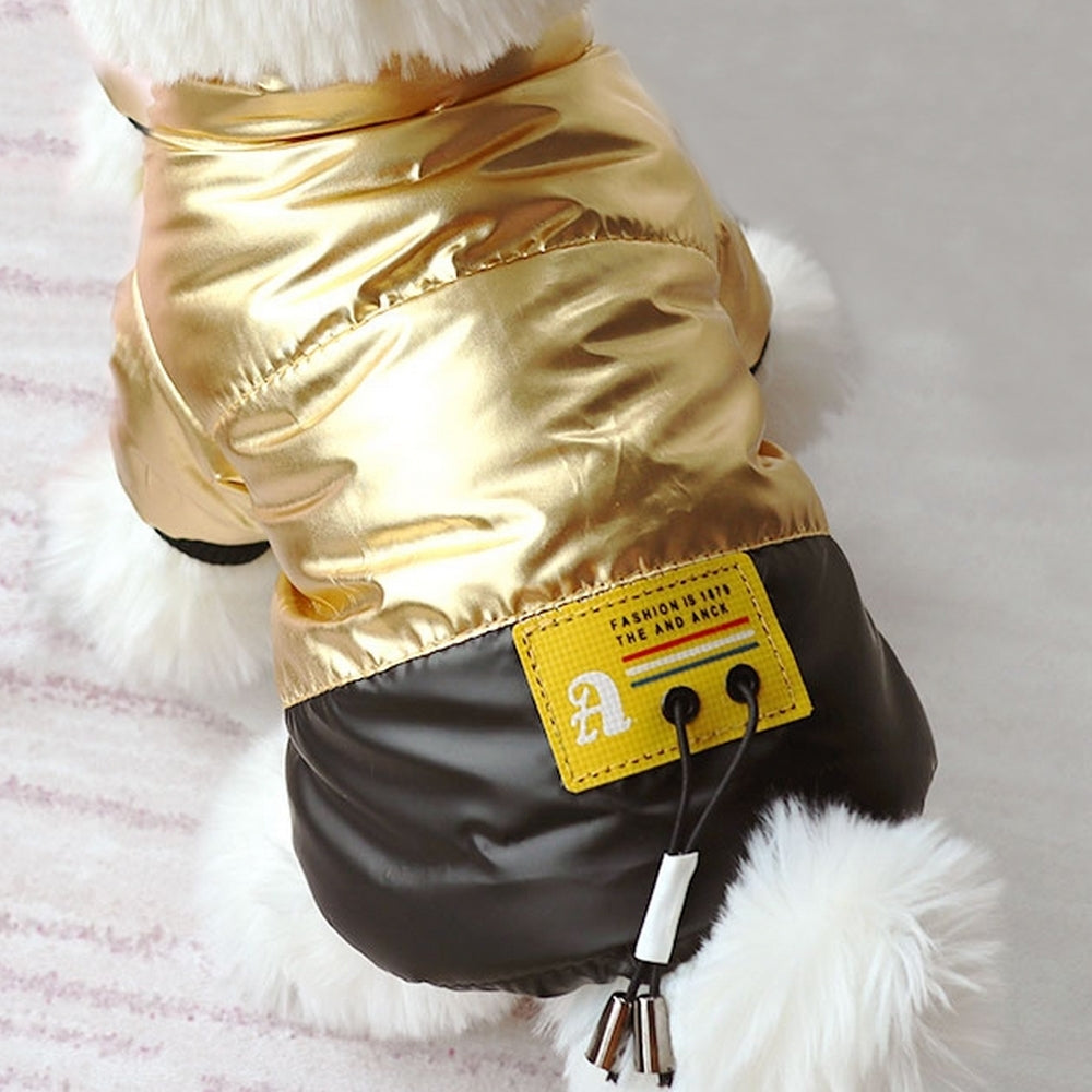 Manteau pour chien or