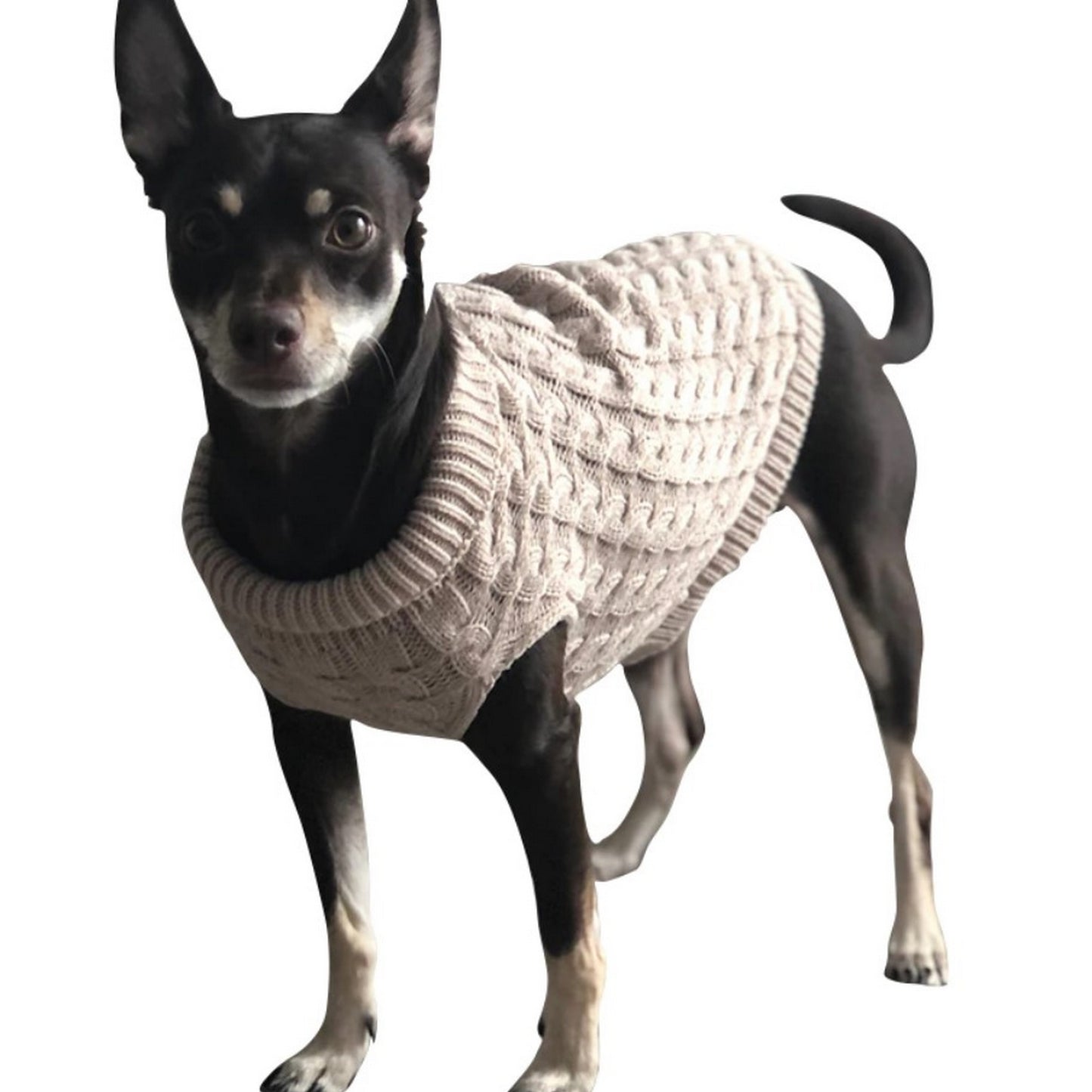 Pull tricot beige pour chien