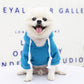 Sweat capuche bleu