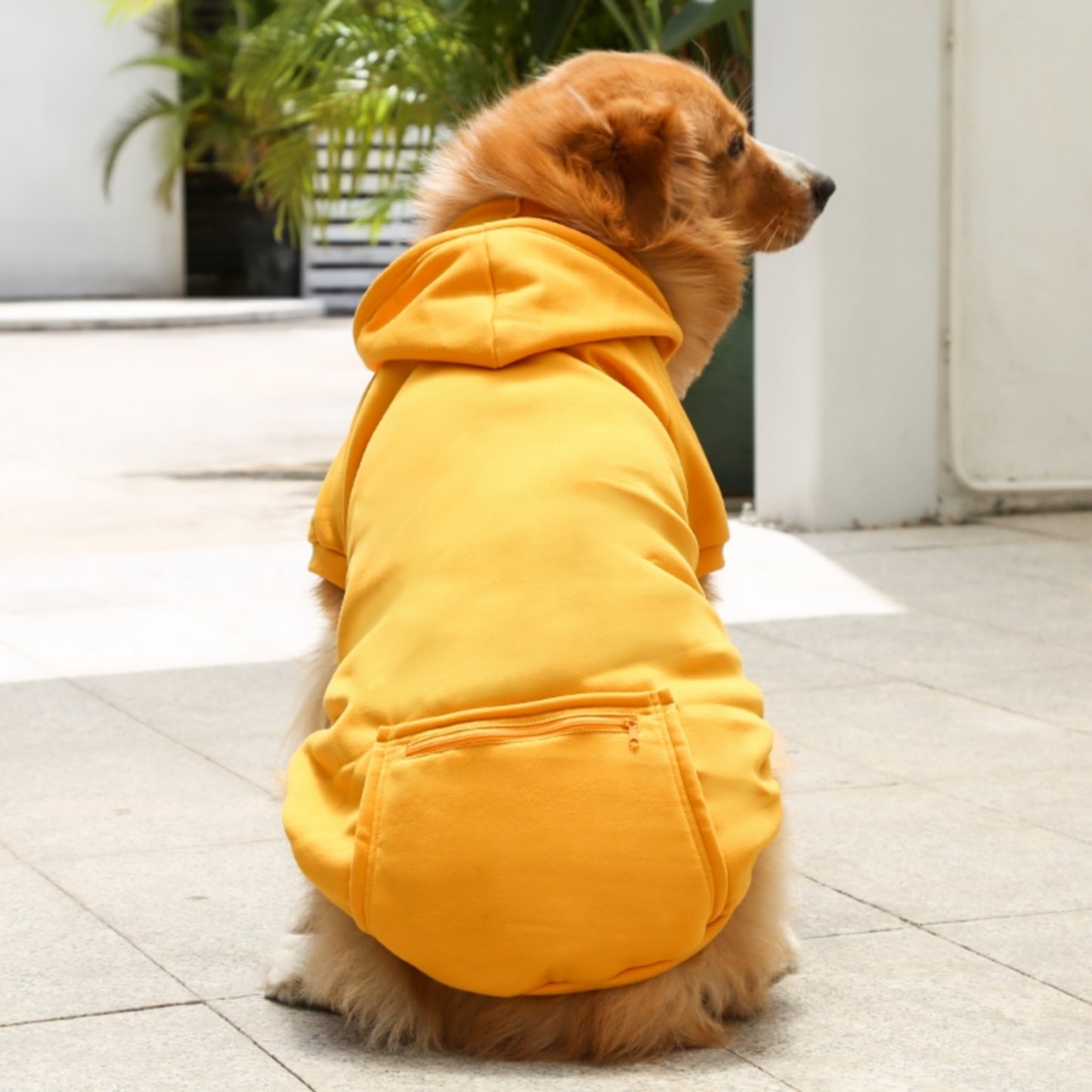 Sweat capuche jaune