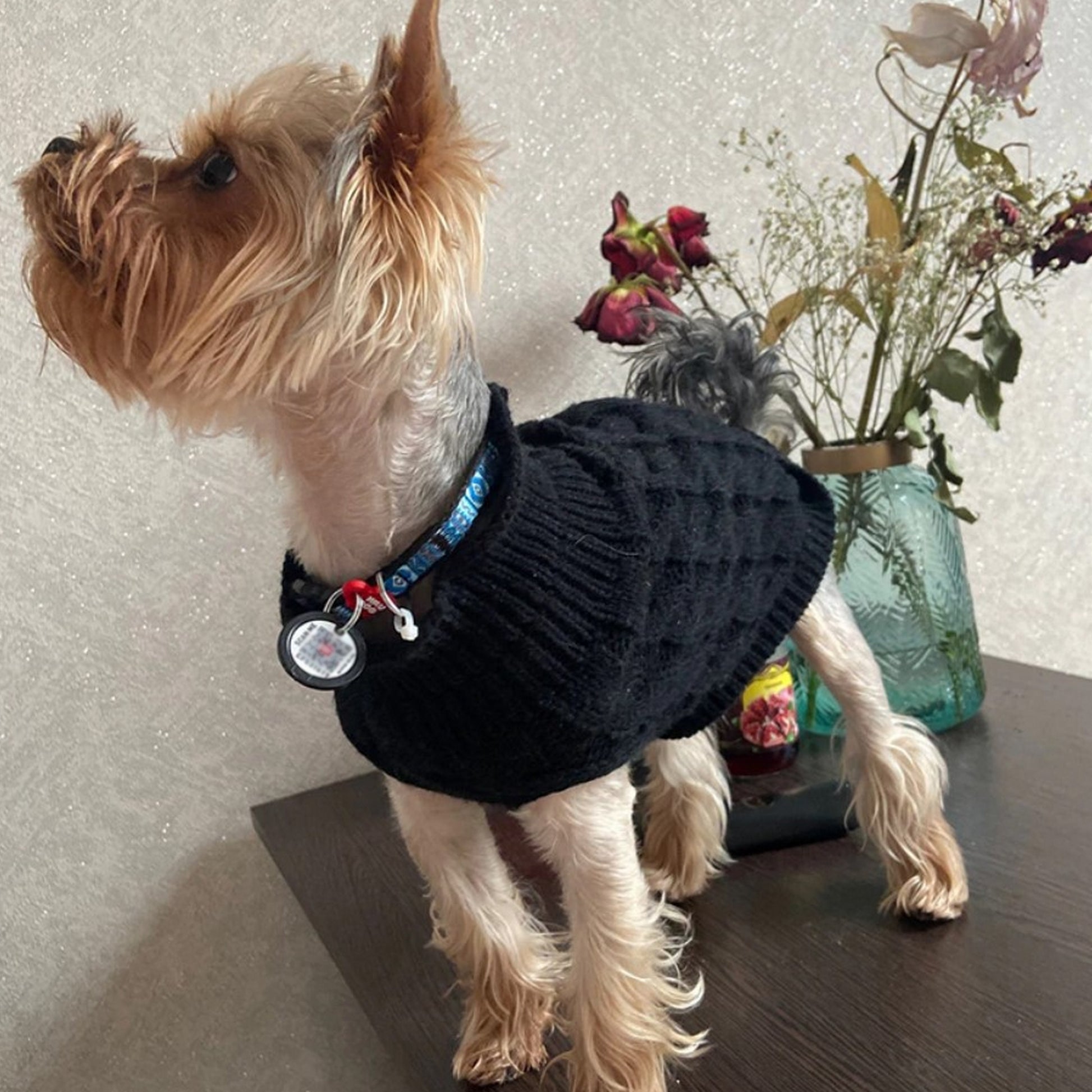 Pull tricoté noir pour chien
