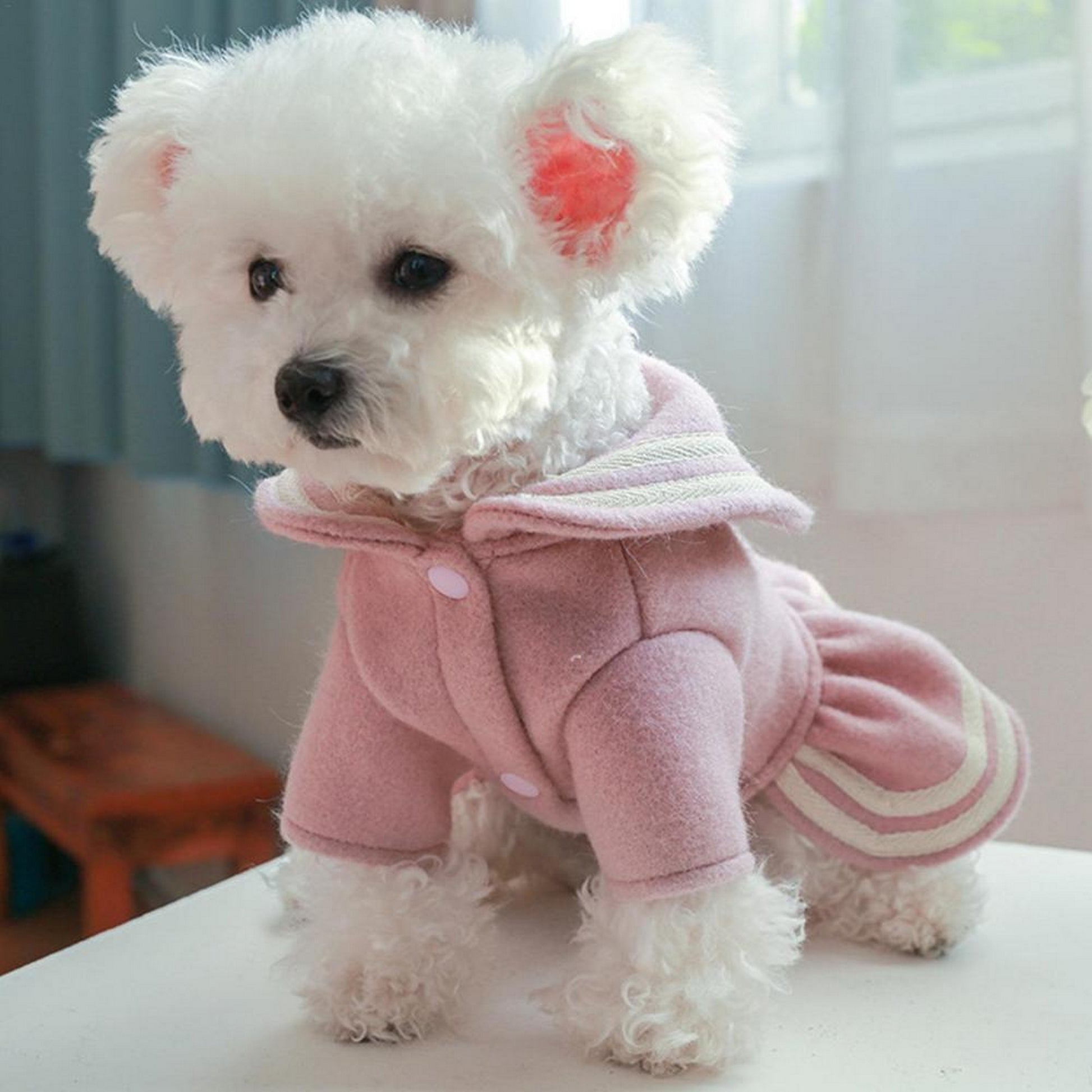 Robe chic pour chien rose
