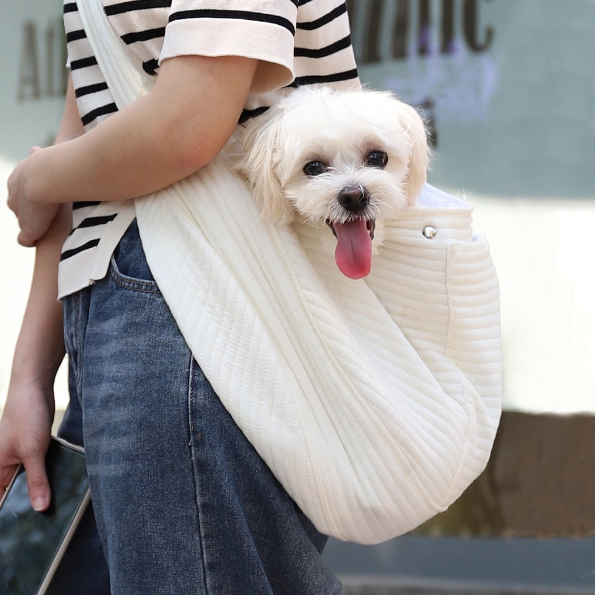 Sac bandoulière de voyage pour chien Wouafiz - Main Image