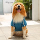 Sweat capuche bleu