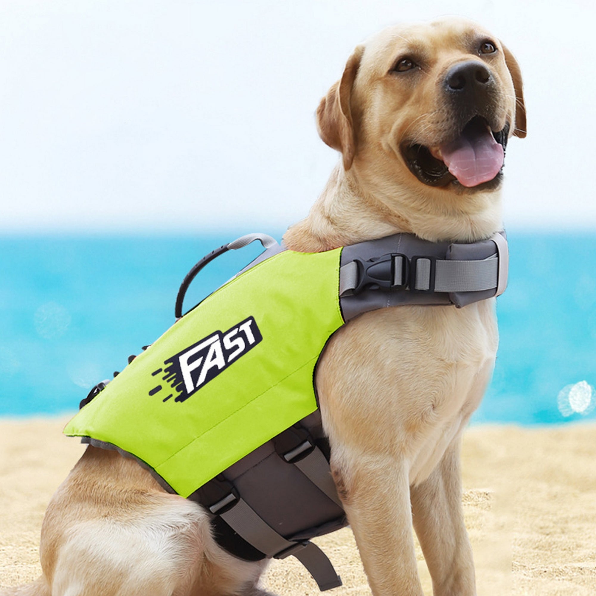 Meilleure veste de flottaison pour online chien