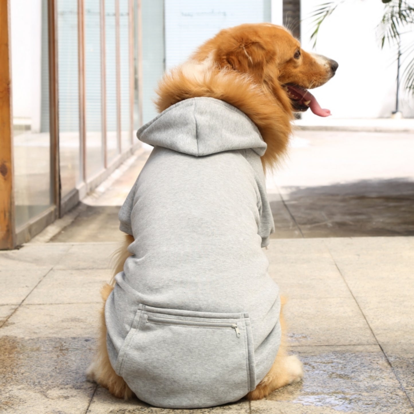 Sweat capuche gris